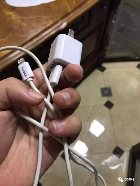 （楊女士的充電線）