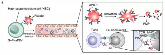  圖片來源：Nature Biomedical Engineering