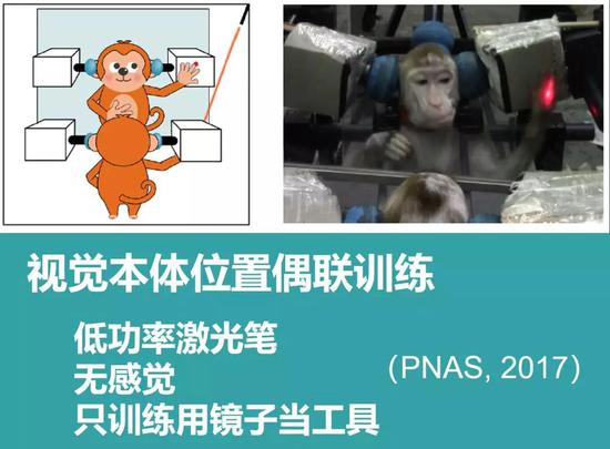 視覺本體位置偶聯訓練