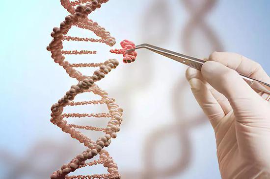 腦科學與人工智能