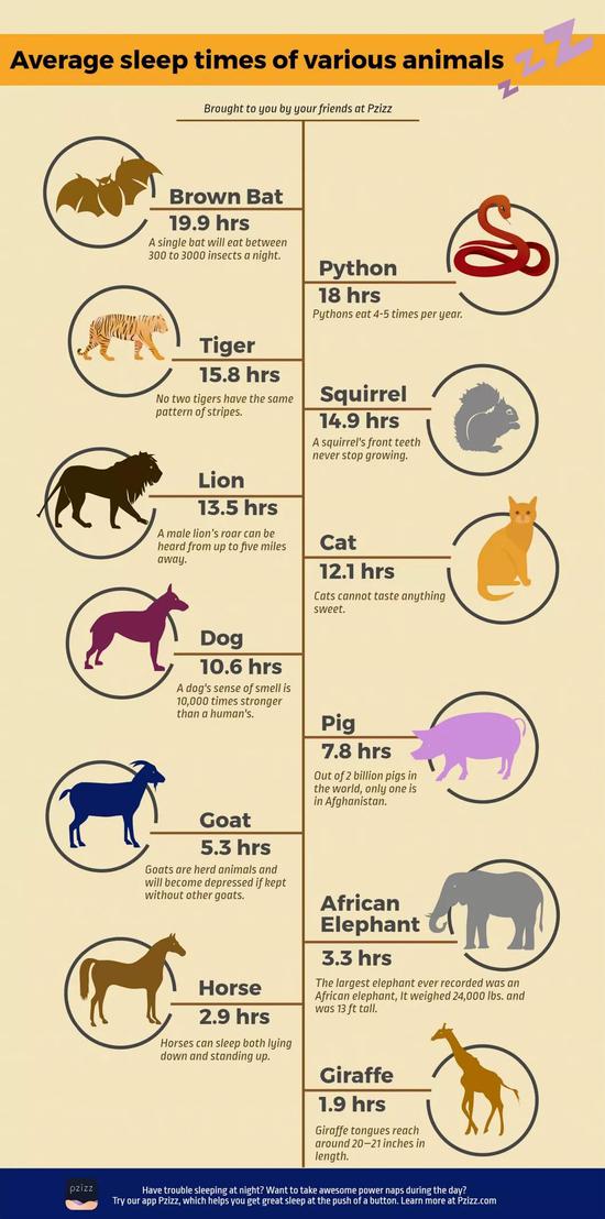 不同動物的睡眠時間（圖片來源：Pzizz blog）