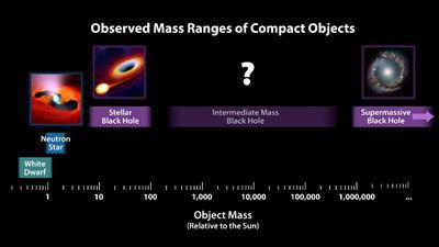 致密天體根據質量的分類，圖片來源：NASA