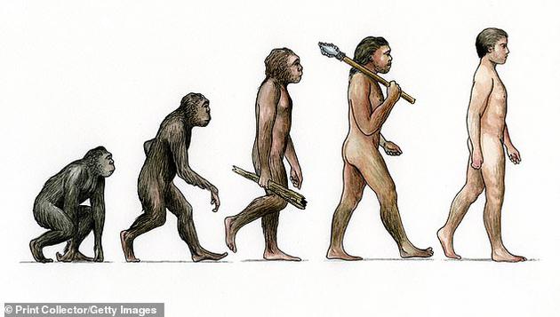 科學家發現幾十種基因，認為它們可能在人類進化歷程中發揮著關鍵作用。