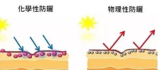 （圖片來自www.google.com.hk）