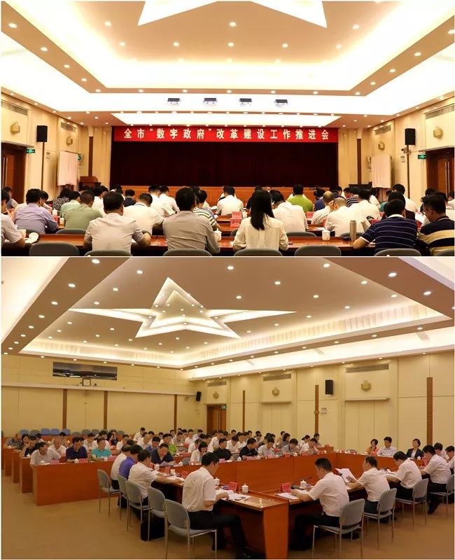 數字政府 肇慶 行政改革