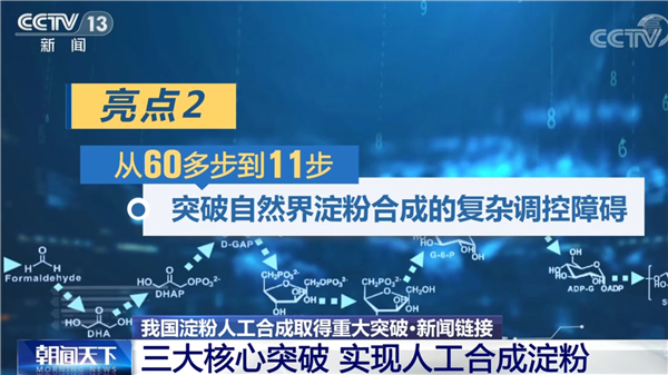 我國科學家突破人工合成淀粉技術 網友調侃：喝西北風成真