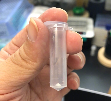 “喝西北風”也能活？我國學者用二氧化碳人工合成淀粉