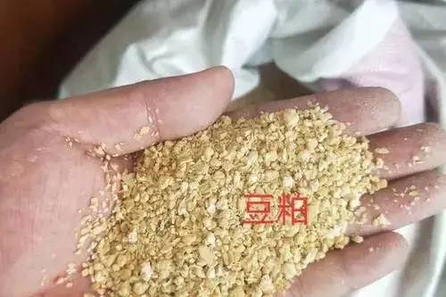 中國用尾氣合成出蛋白質(zhì) 這個全球首次的技術為啥還被噴了？